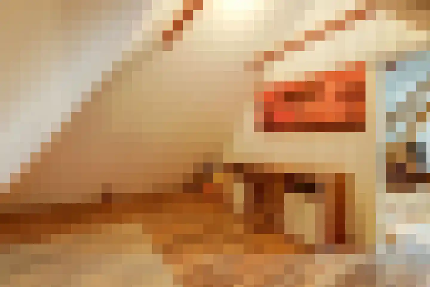Hoarslânsdyk 1 Bitgum thumbnail 30