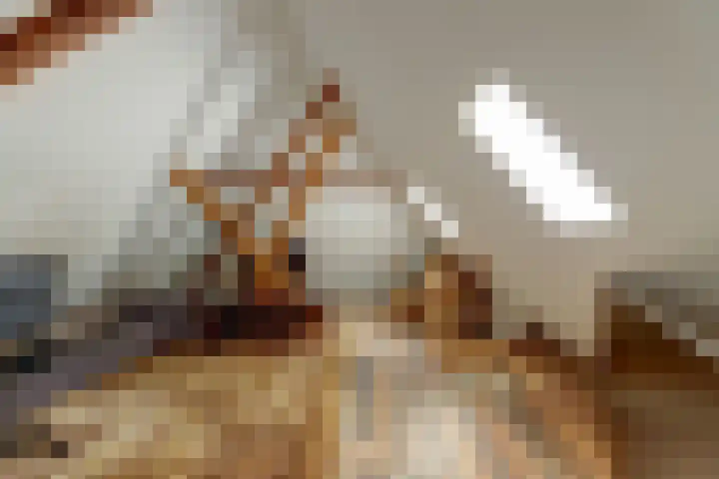 Hoarslânsdyk 1 Bitgum thumbnail 31