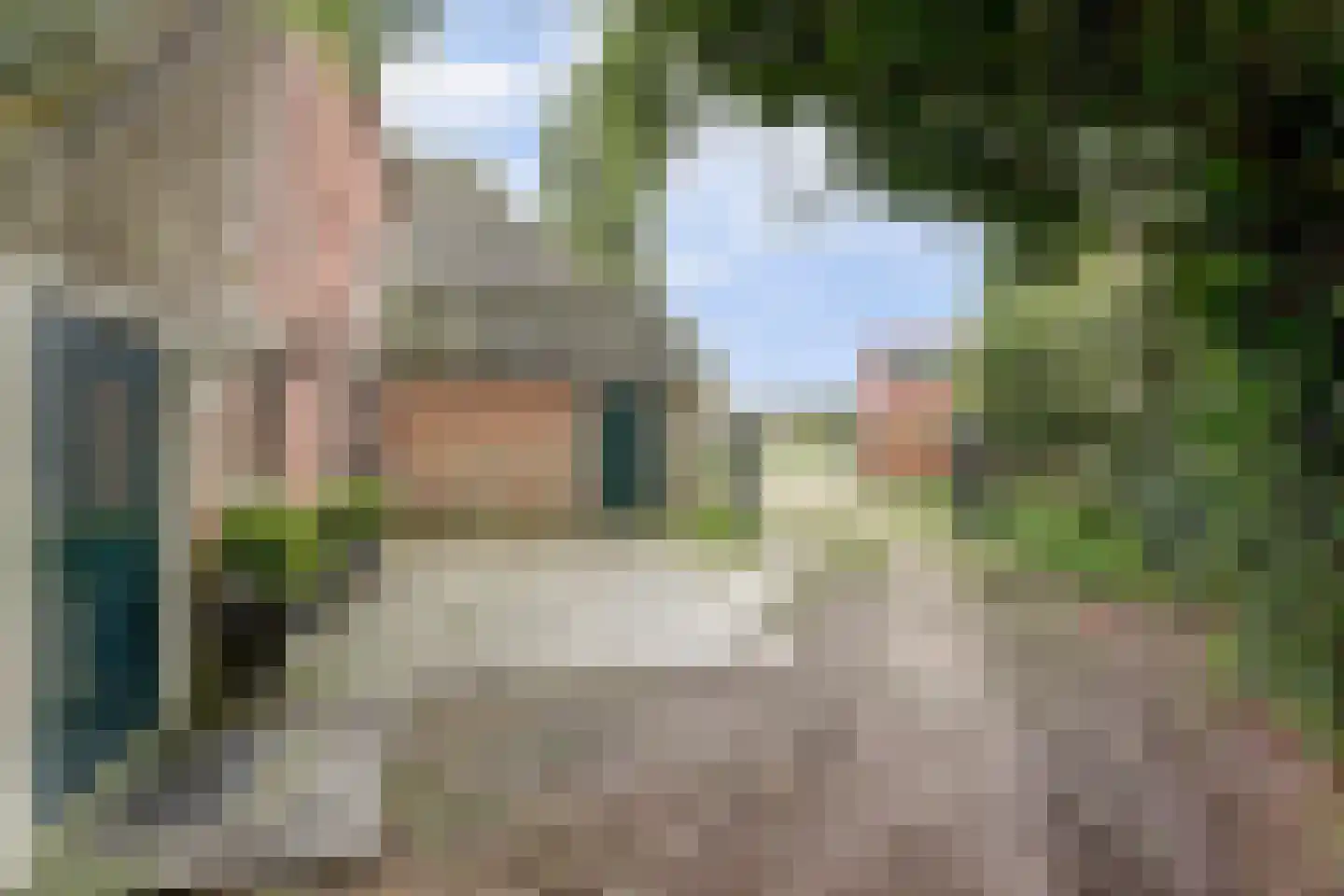 Hoarslânsdyk 1 Bitgum thumbnail 35