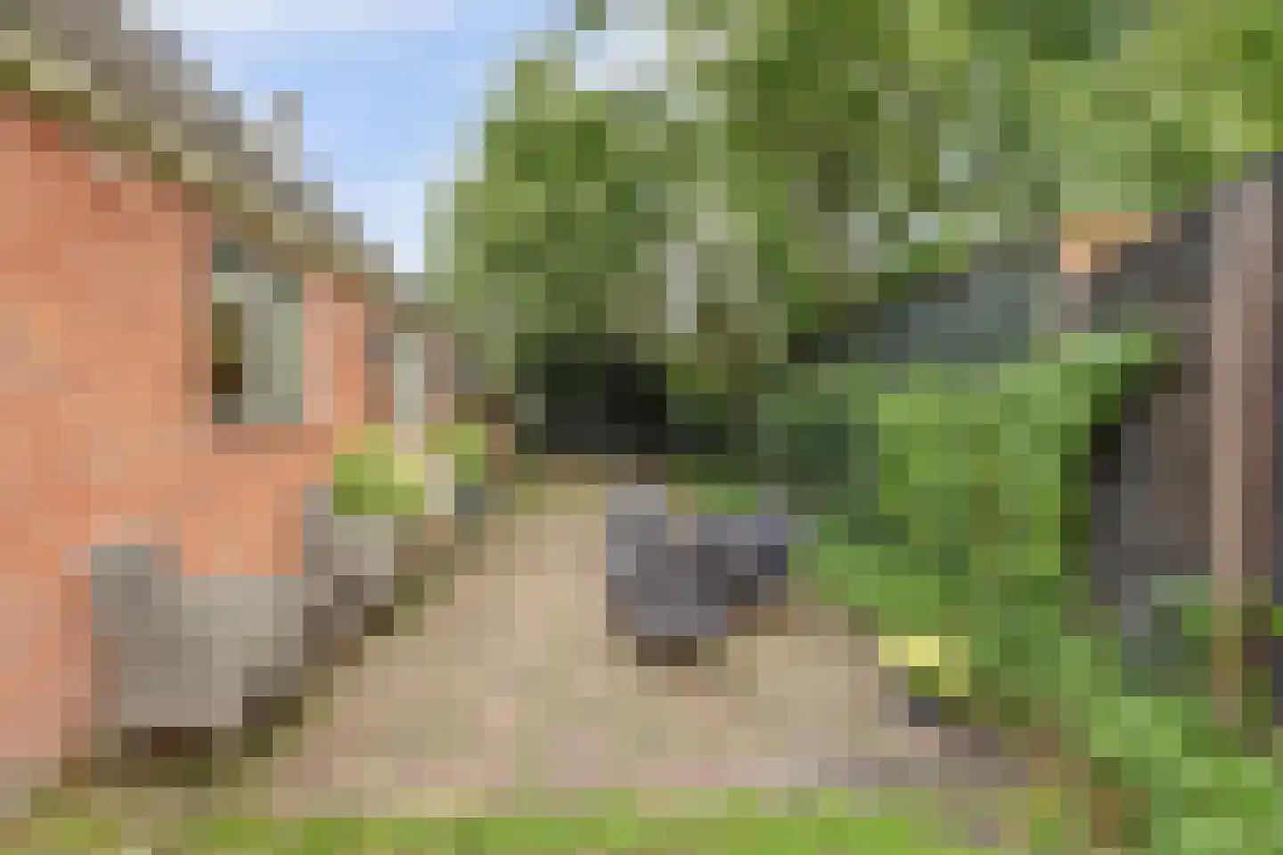 Hoarslânsdyk 1 Bitgum thumbnail 38
