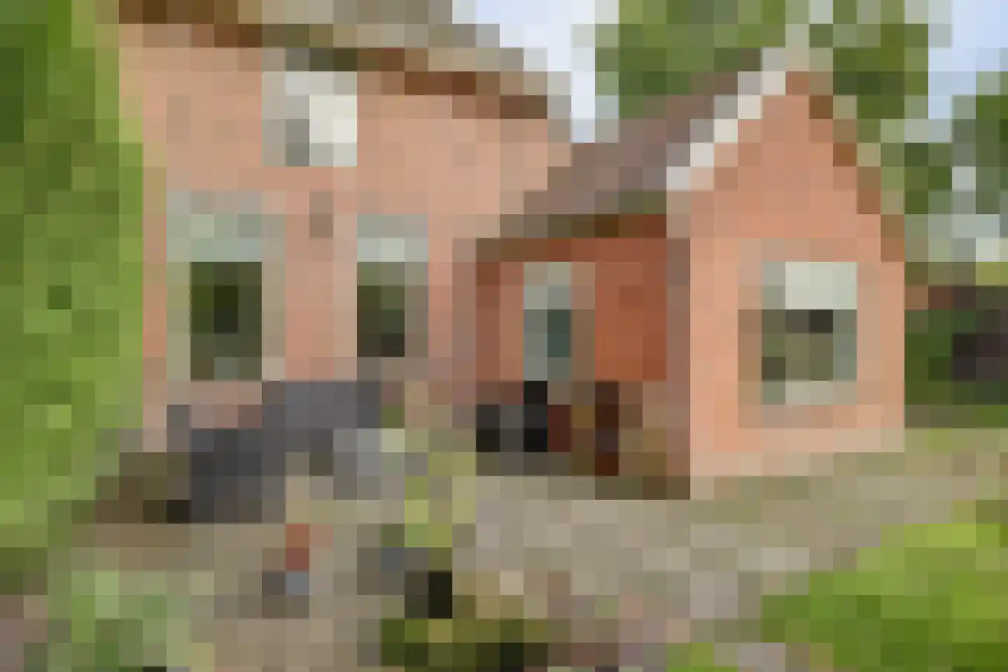 Hoarslânsdyk 1 Bitgum thumbnail 39