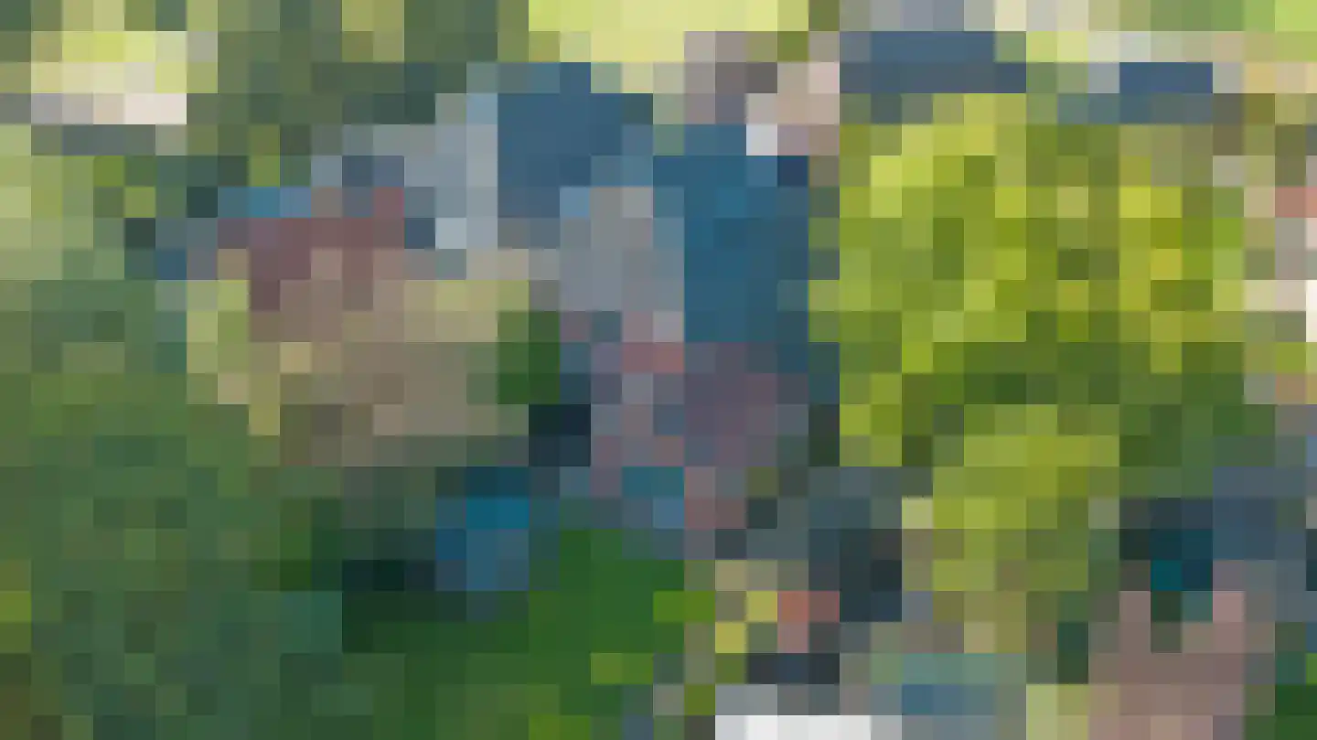 Hoarslânsdyk 1 Bitgum thumbnail 4