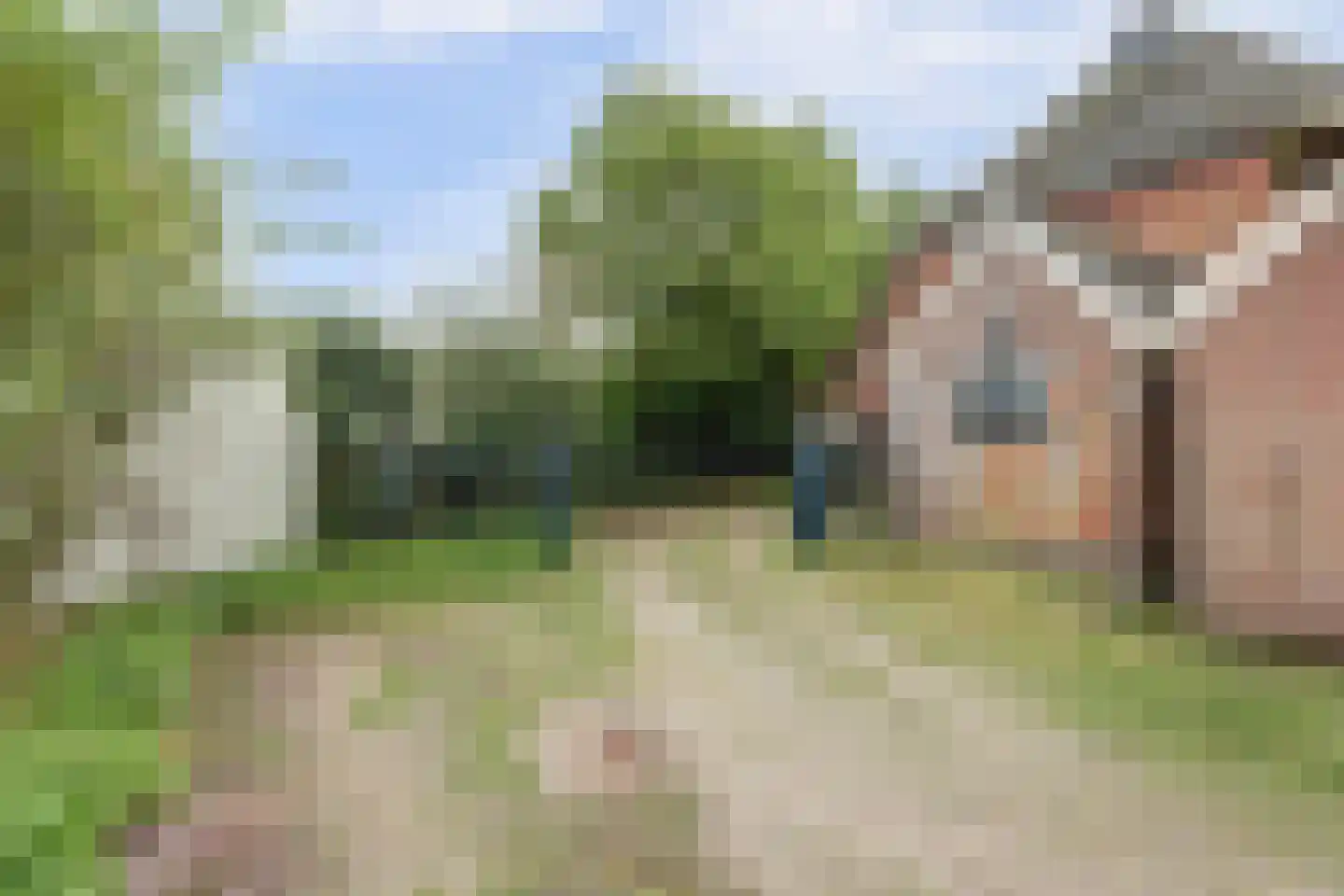 Hoarslânsdyk 1 Bitgum thumbnail 42