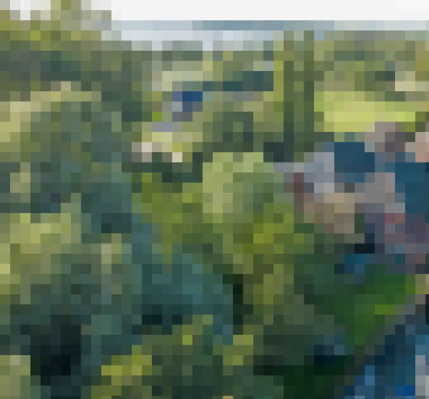Hoarslânsdyk 1 Bitgum thumbnail 44