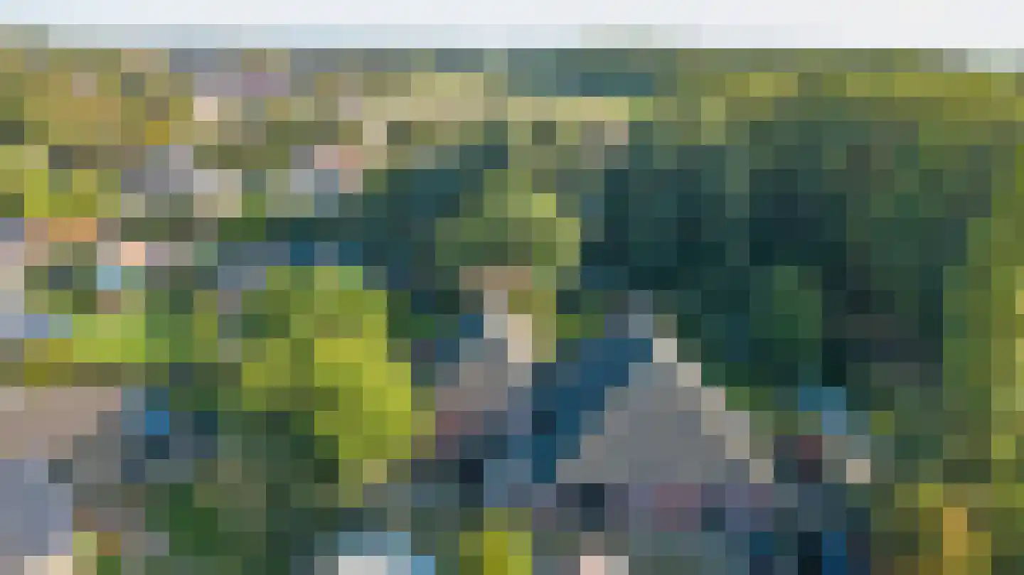 Hoarslânsdyk 1 Bitgum thumbnail 45