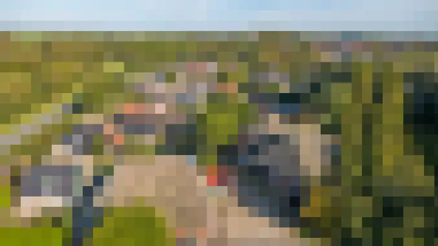 Hoarslânsdyk 1 Bitgum thumbnail 46