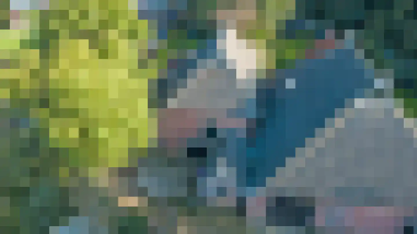 Hoarslânsdyk 1 Bitgum thumbnail 47