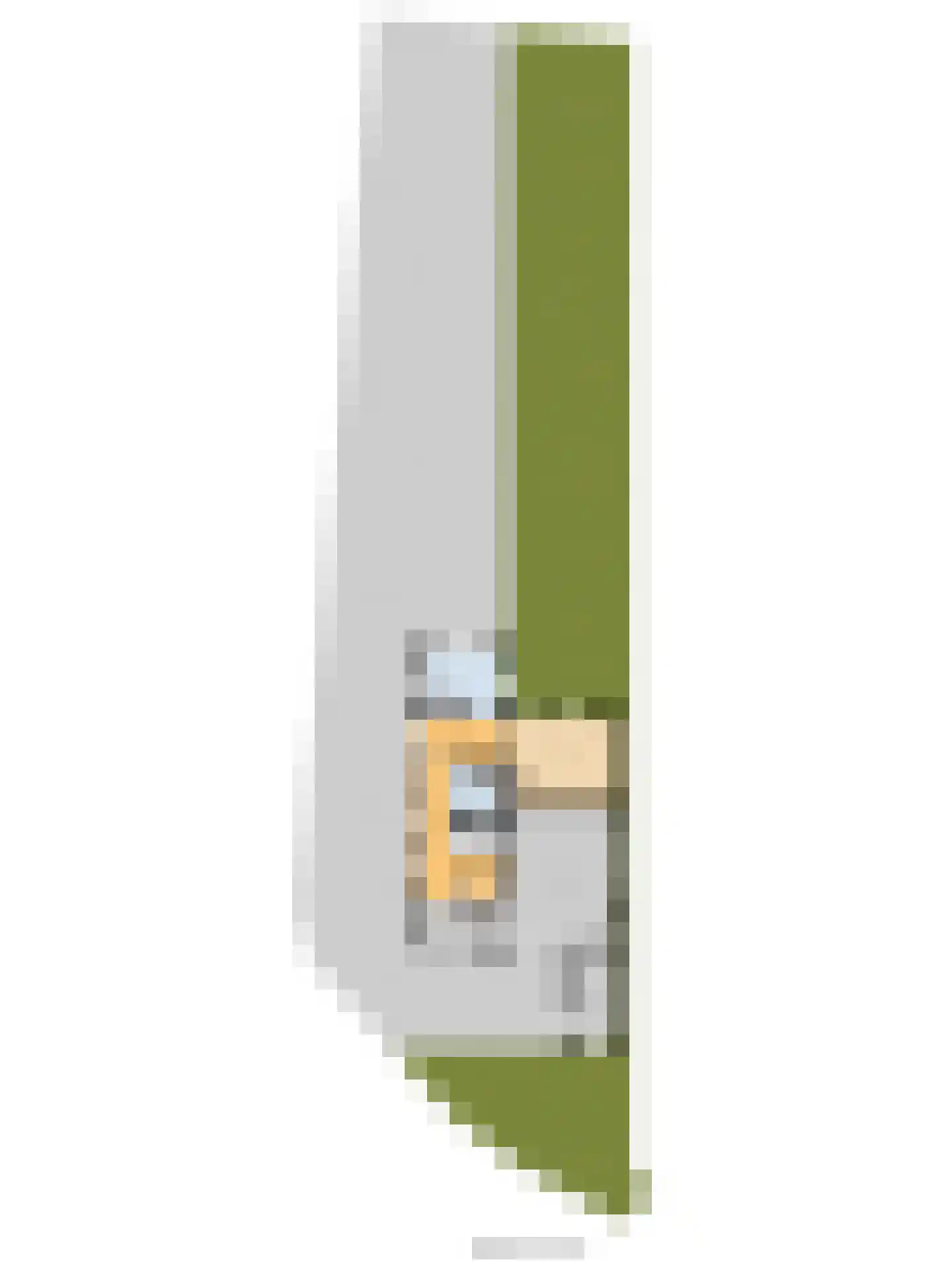 Hoarslânsdyk 1 Bitgum thumbnail 48