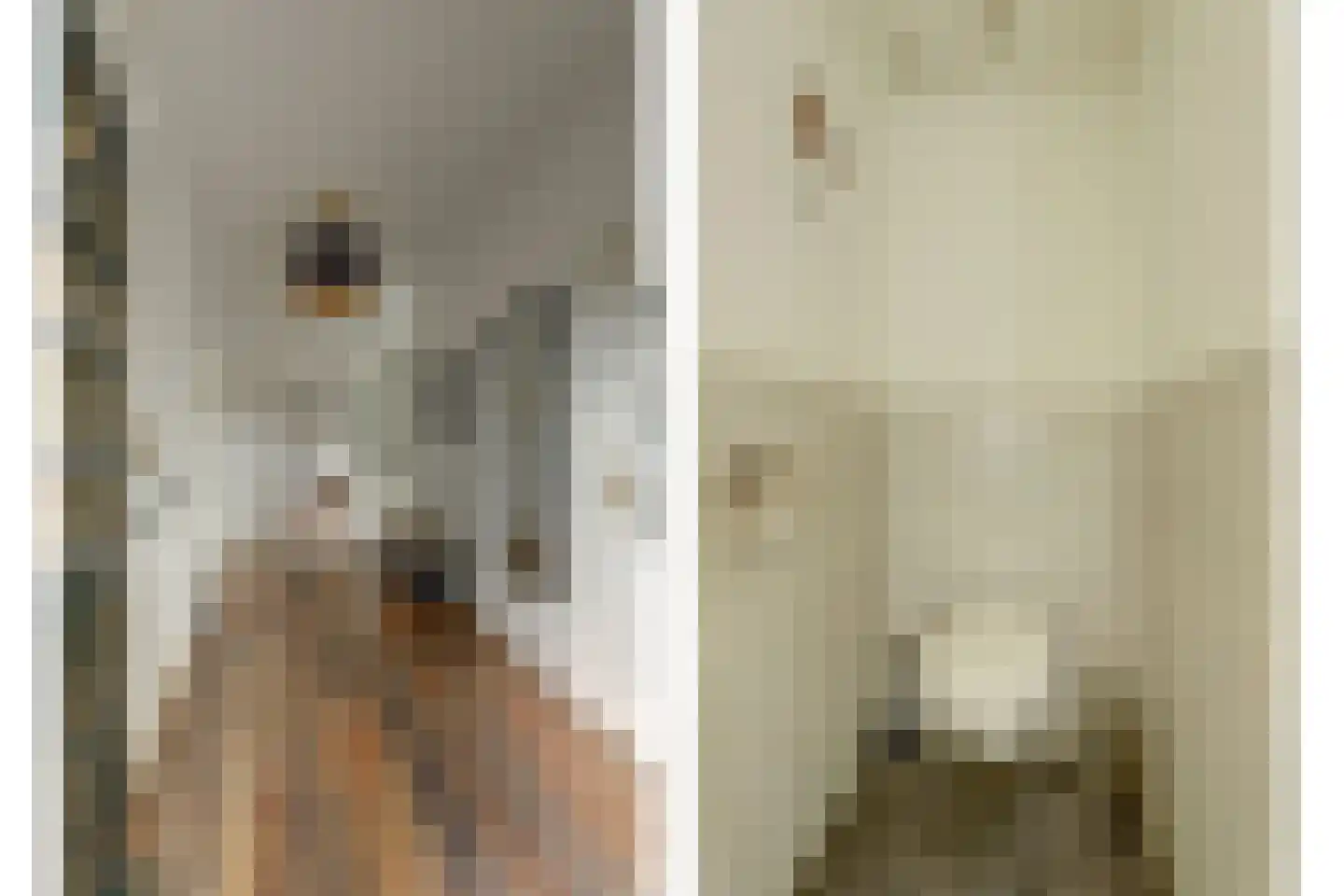 Hoarslânsdyk 1 Bitgum thumbnail 5