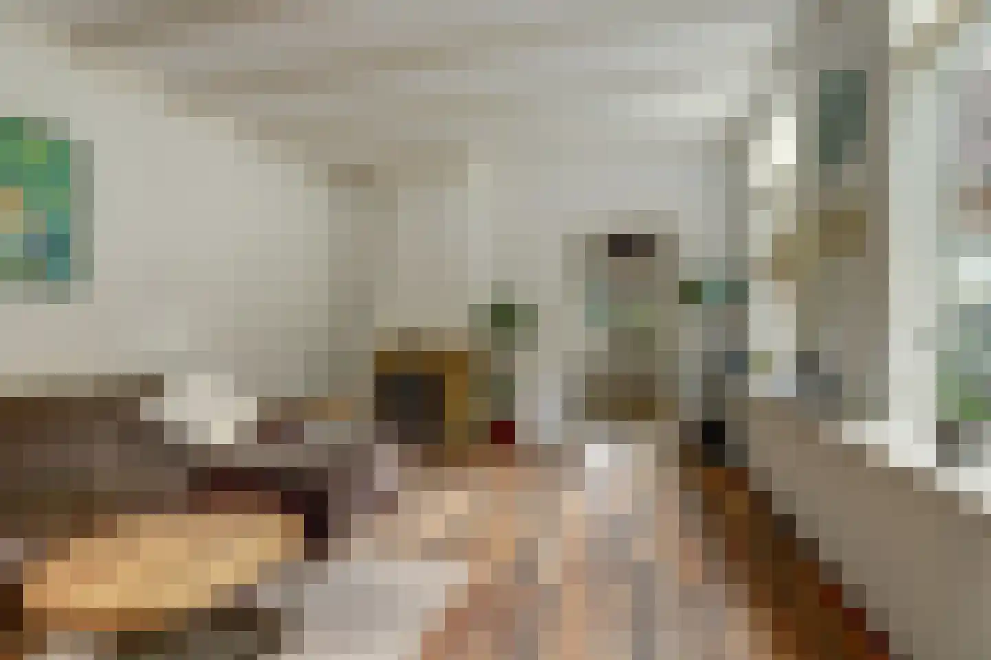 Hoarslânsdyk 1 Bitgum thumbnail 6