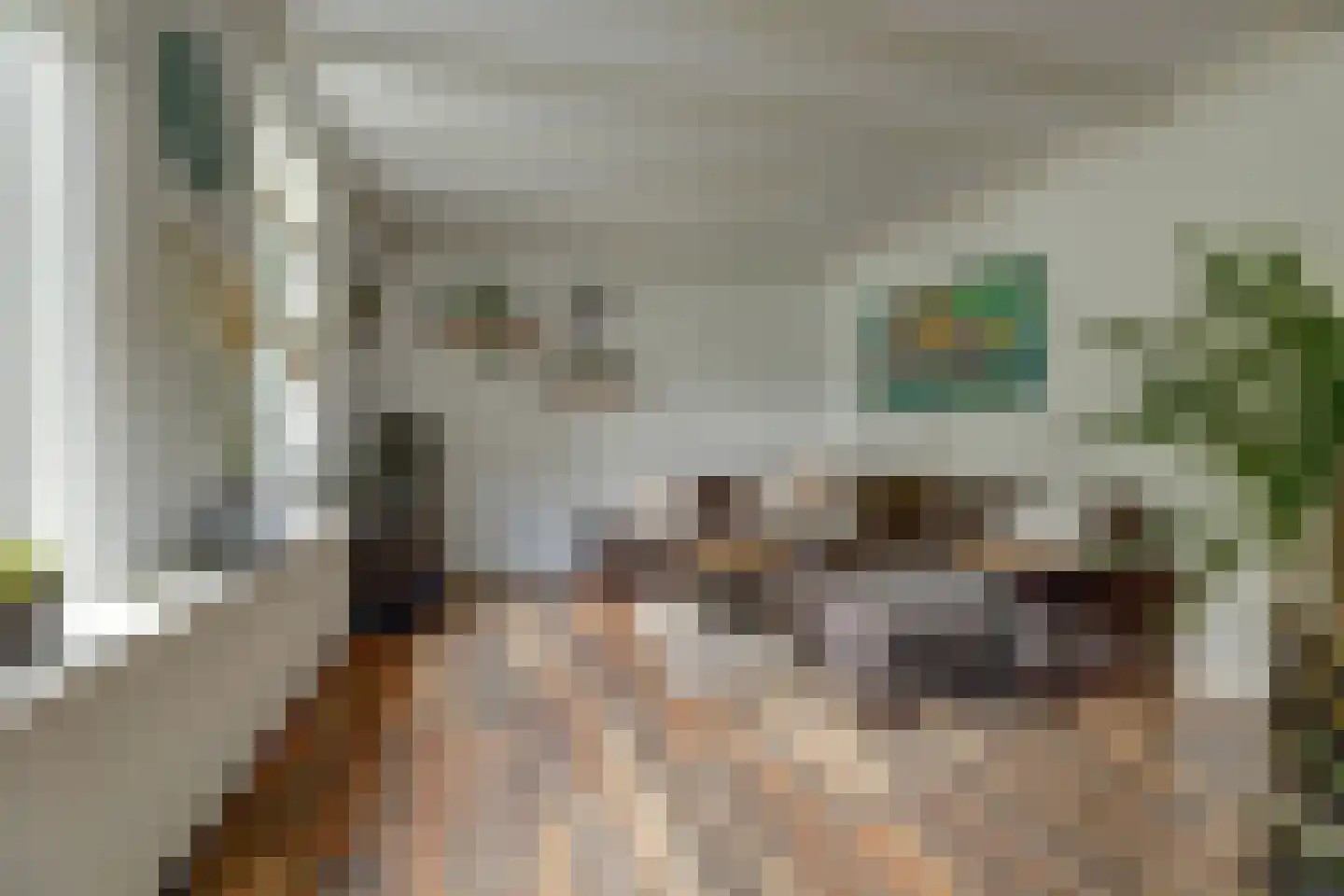 Hoarslânsdyk 1 Bitgum thumbnail 7