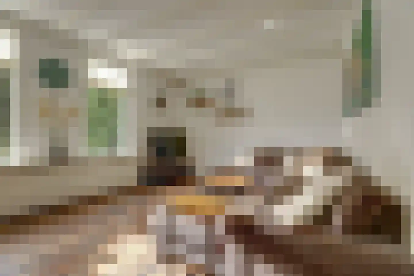 Hoarslânsdyk 1 Bitgum thumbnail 8
