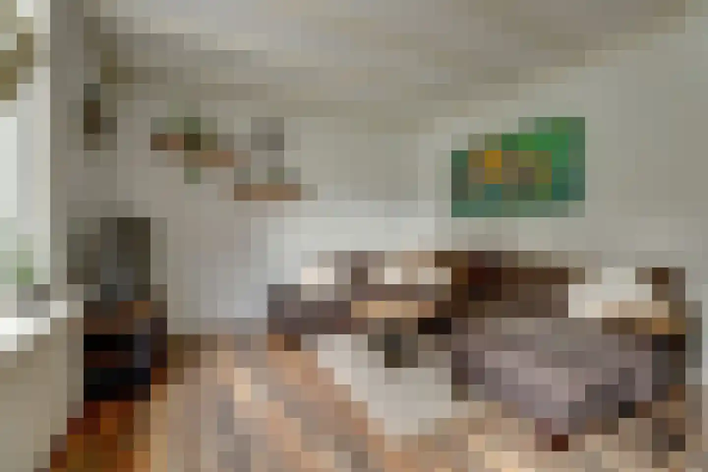 Hoarslânsdyk 1 Bitgum thumbnail 9