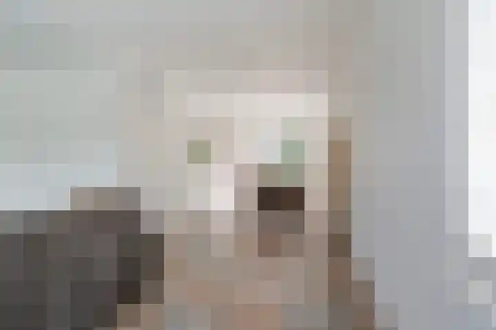 Hoatse de Jongstrjitte 10 Jelsum thumbnail 13