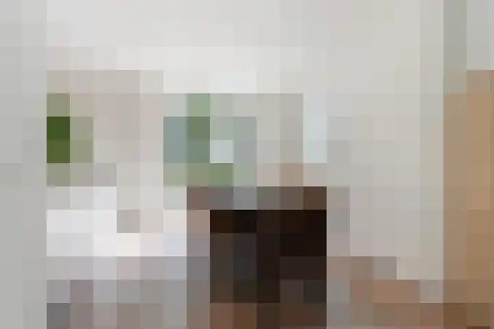 Hoatse de Jongstrjitte 10 Jelsum thumbnail 14
