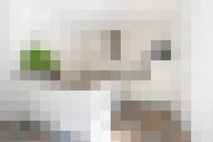 Hoatse de Jongstrjitte 10 Jelsum thumbnail 18