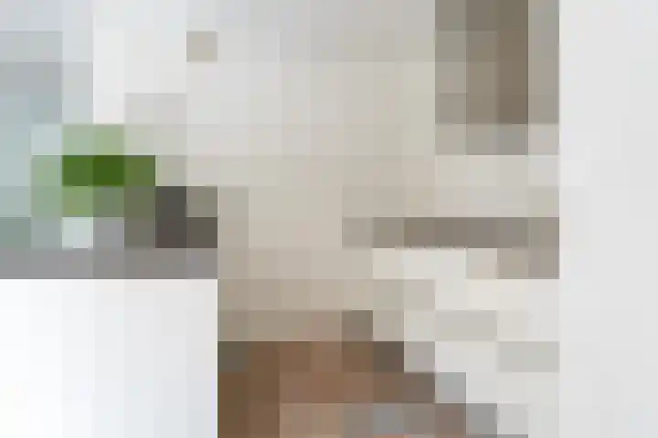Hoatse de Jongstrjitte 10 Jelsum thumbnail 19