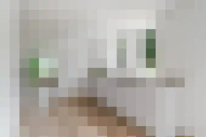 Hoatse de Jongstrjitte 10 Jelsum thumbnail 22
