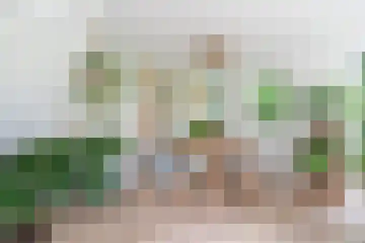 Hoatse de Jongstrjitte 10 Jelsum thumbnail 24
