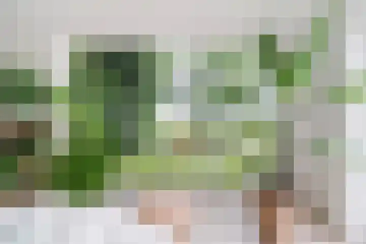 Hoatse de Jongstrjitte 10 Jelsum thumbnail 25