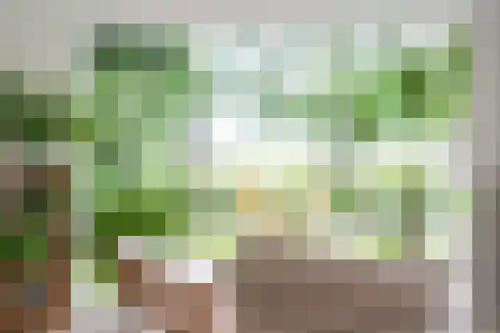 Hoatse de Jongstrjitte 10 Jelsum thumbnail 26