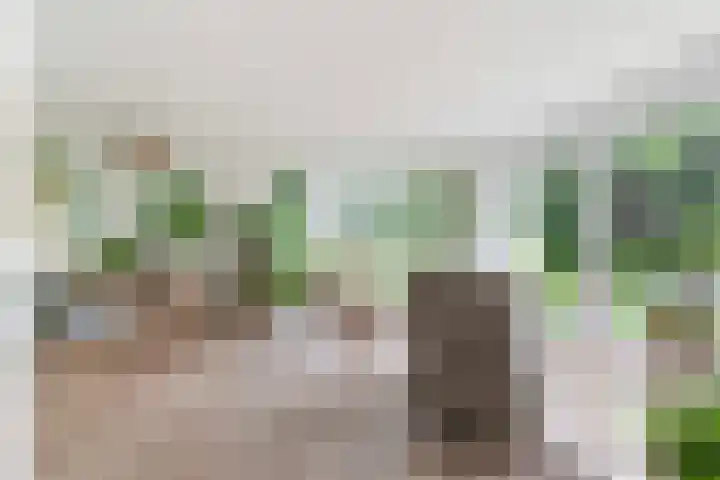 Hoatse de Jongstrjitte 10 Jelsum thumbnail 28