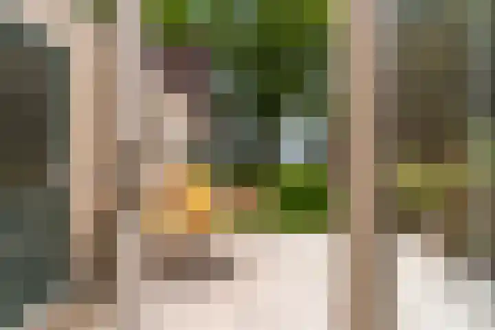 Hoatse de Jongstrjitte 10 Jelsum thumbnail 47