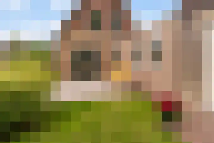 Hoatse de Jongstrjitte 10 Jelsum thumbnail 48