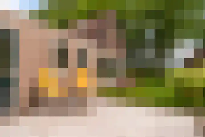 Hoatse de Jongstrjitte 10 Jelsum thumbnail 49