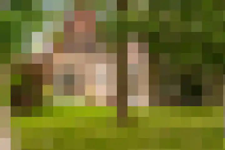 Hoatse de Jongstrjitte 10 Jelsum thumbnail 50