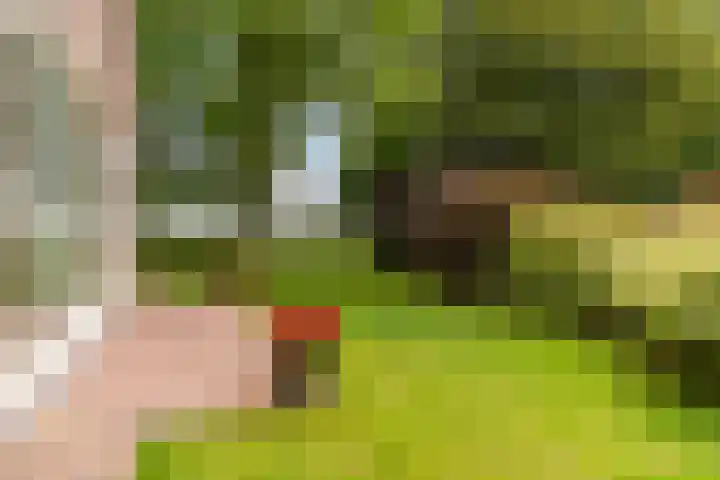 Hoatse de Jongstrjitte 10 Jelsum thumbnail 51