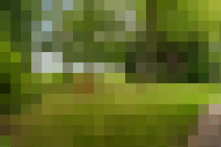 Hoatse de Jongstrjitte 10 Jelsum thumbnail 52
