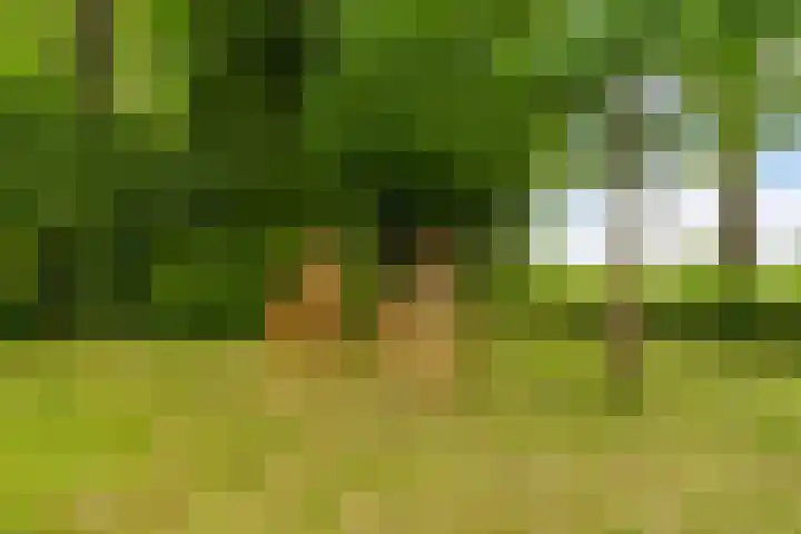 Hoatse de Jongstrjitte 10 Jelsum thumbnail 54