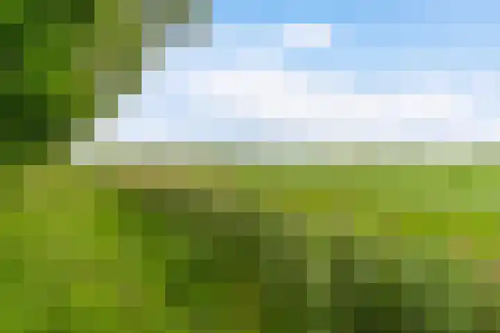 Hoatse de Jongstrjitte 10 Jelsum thumbnail 56