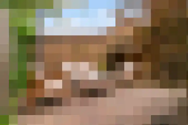 Hoatse de Jongstrjitte 10 Jelsum thumbnail 57