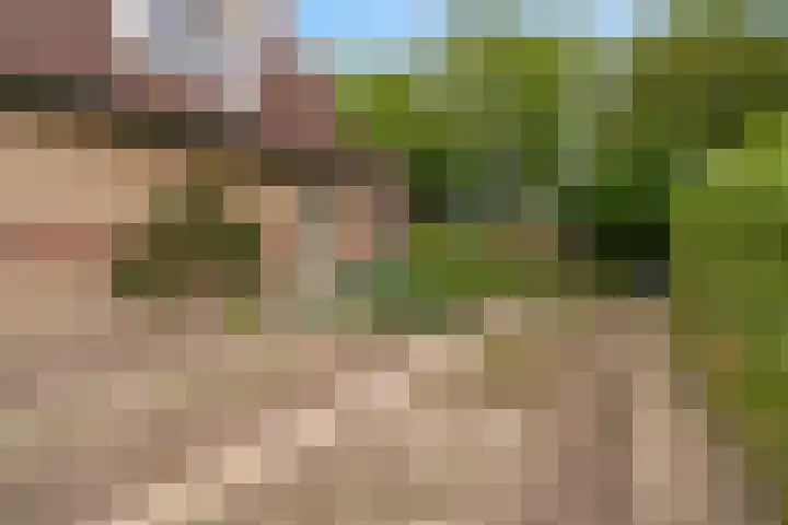 Hoatse de Jongstrjitte 10 Jelsum thumbnail 59