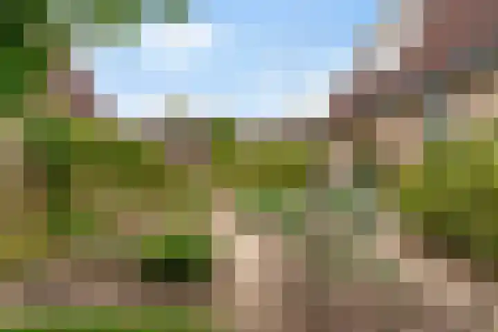 Hoatse de Jongstrjitte 10 Jelsum thumbnail 60