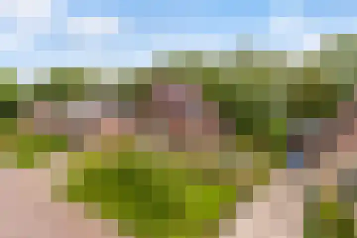 Hoatse de Jongstrjitte 10 Jelsum thumbnail 61
