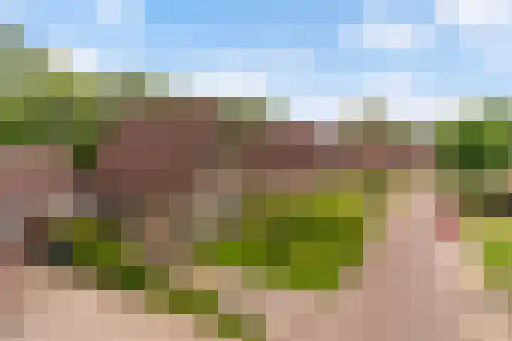Hoatse de Jongstrjitte 10 Jelsum thumbnail 62