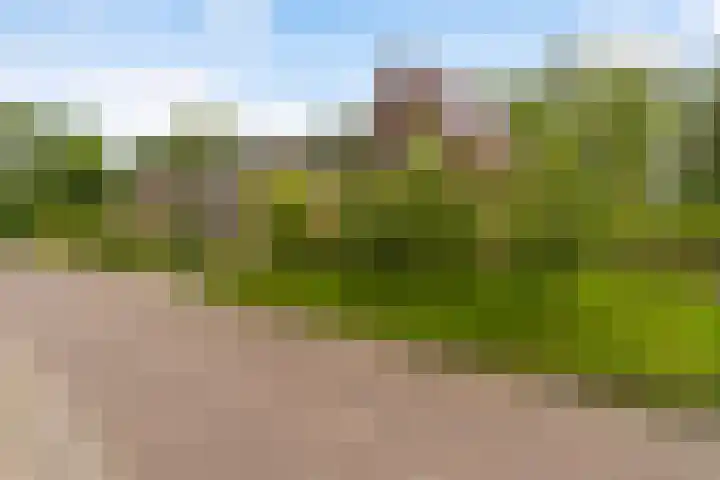 Hoatse de Jongstrjitte 10 Jelsum thumbnail 63