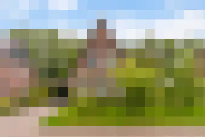 Hoatse de Jongstrjitte 10 Jelsum thumbnail 64