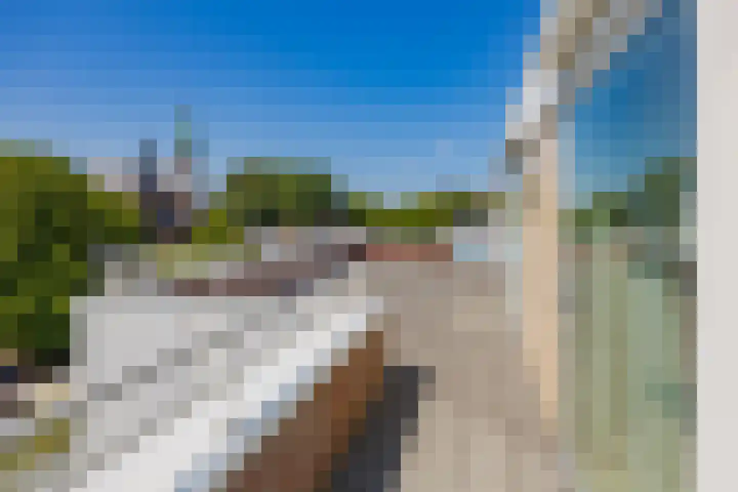 Hobahostraat 28 Lisse thumbnail 26