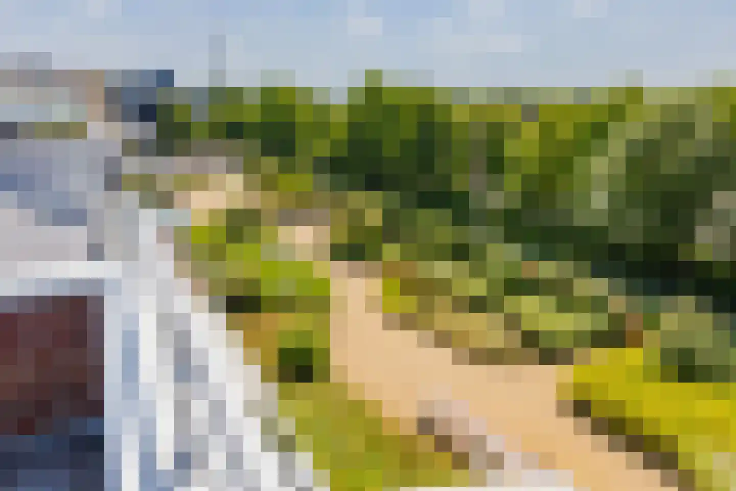 Hobahostraat 28 Lisse thumbnail 27