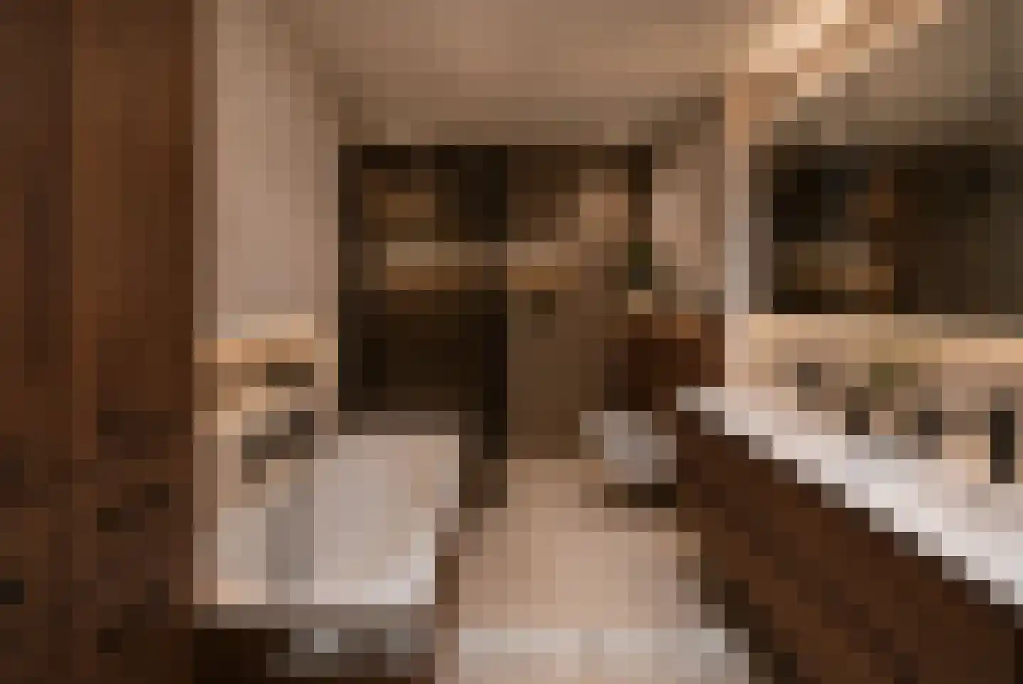 Hobahostraat 28 Lisse thumbnail 31