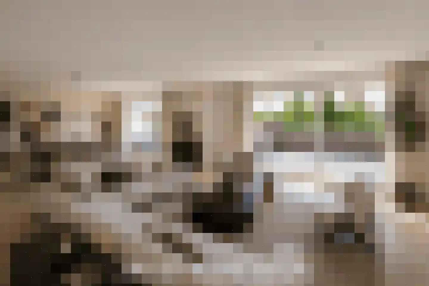 Hobahostraat 28 Lisse thumbnail 9