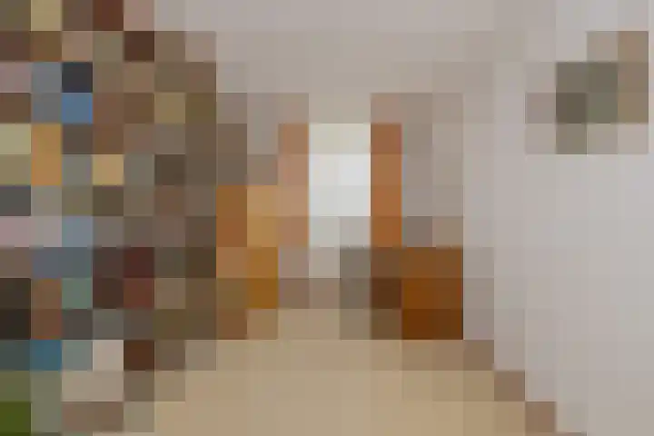 Hobahostraat 44 Lisse thumbnail 19