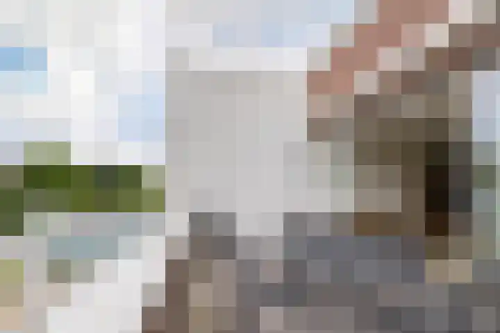 Hobahostraat 44 Lisse thumbnail 26