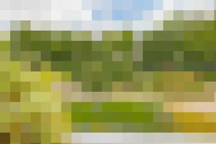 Hobahostraat 44 Lisse thumbnail 30