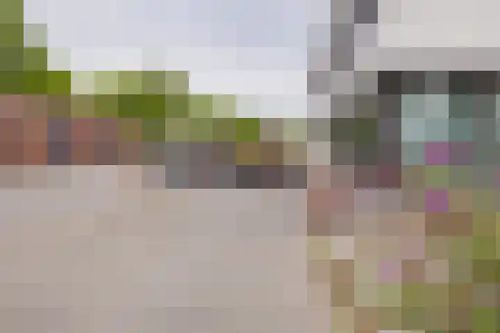 Hobahostraat 44 Lisse thumbnail 31