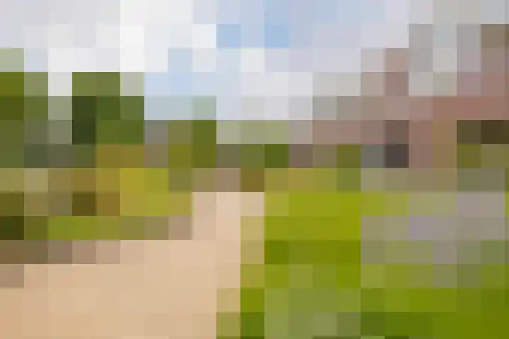 Hobahostraat 44 Lisse thumbnail 35